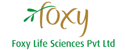 Foxy Retina Logo (400 × 160 px)